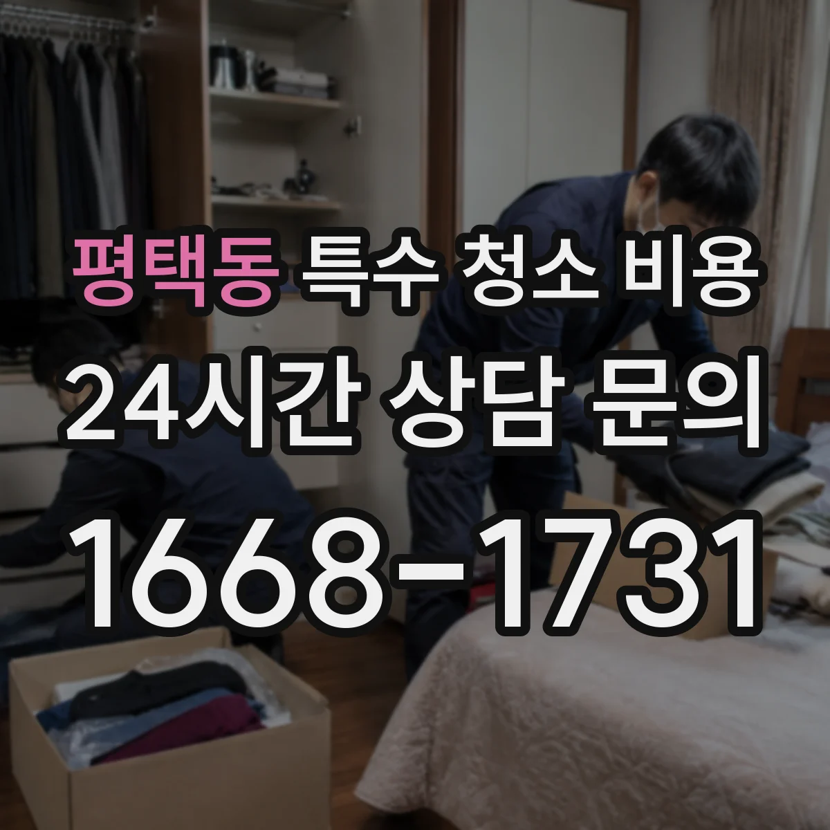 평택동 특수 청소 비용
