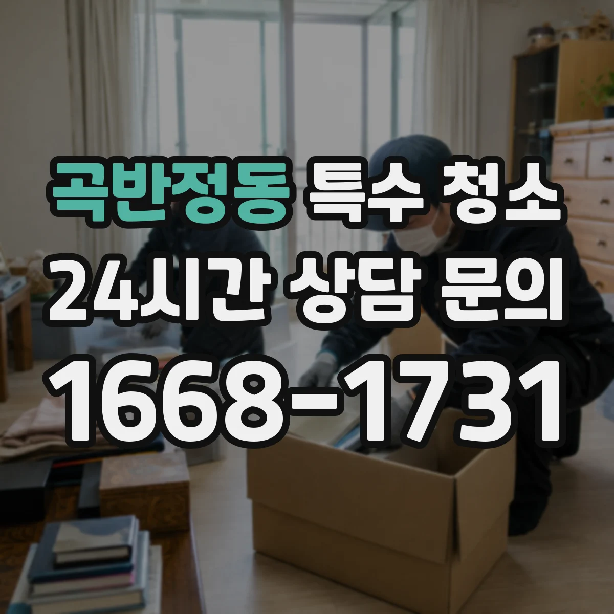 곡반정동 특수 청소