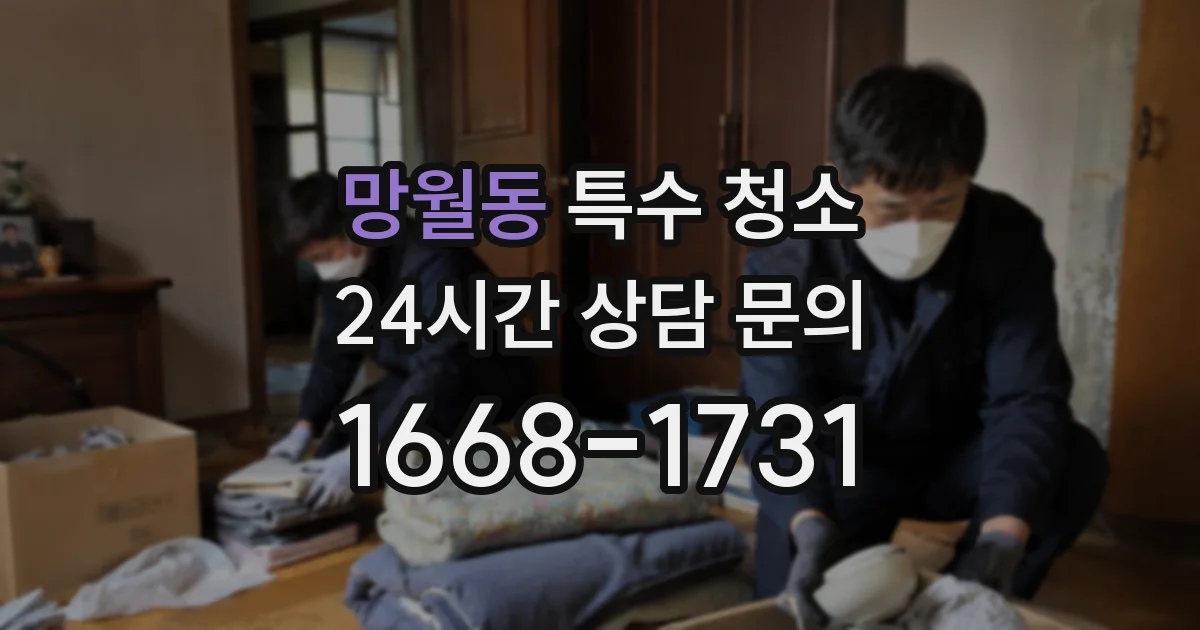 망월동 특수 청소