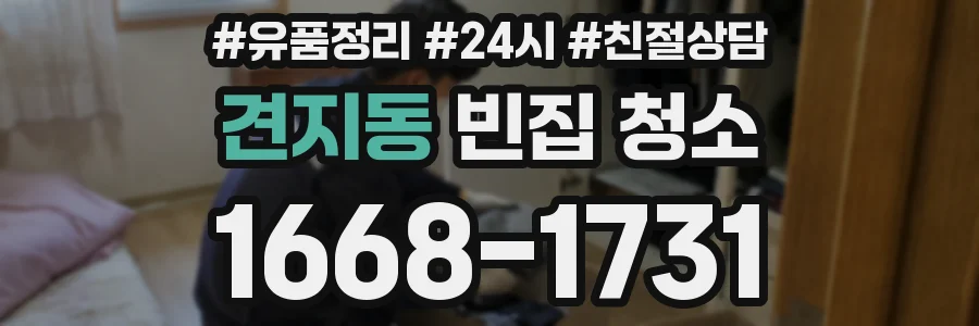 견지동 빈집 청소