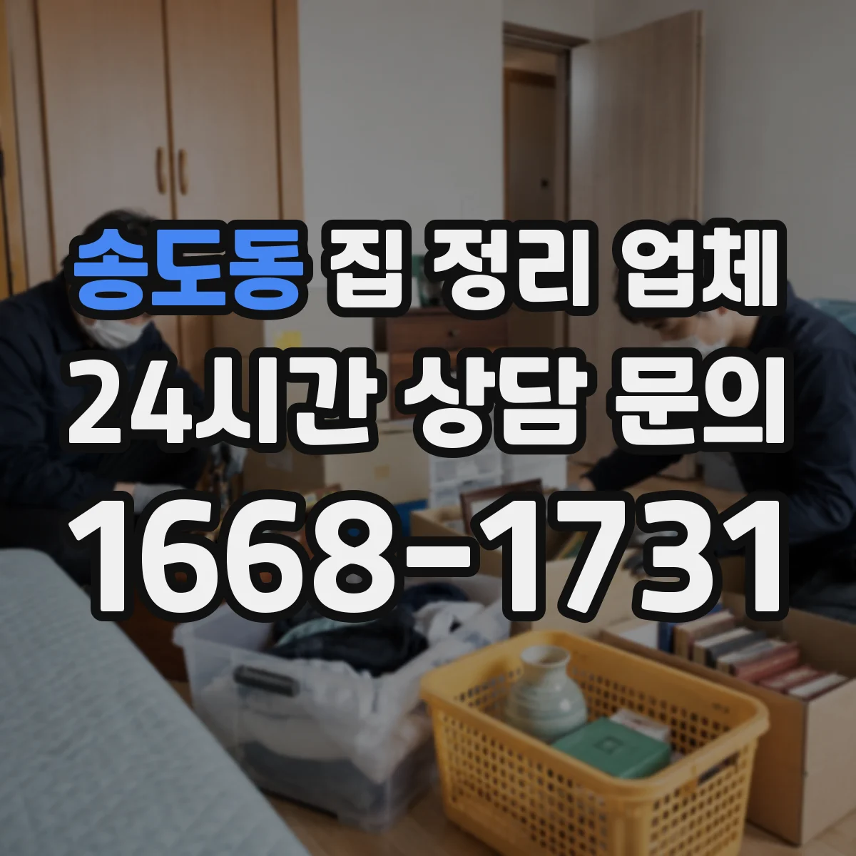 송도동 집 정리 업체