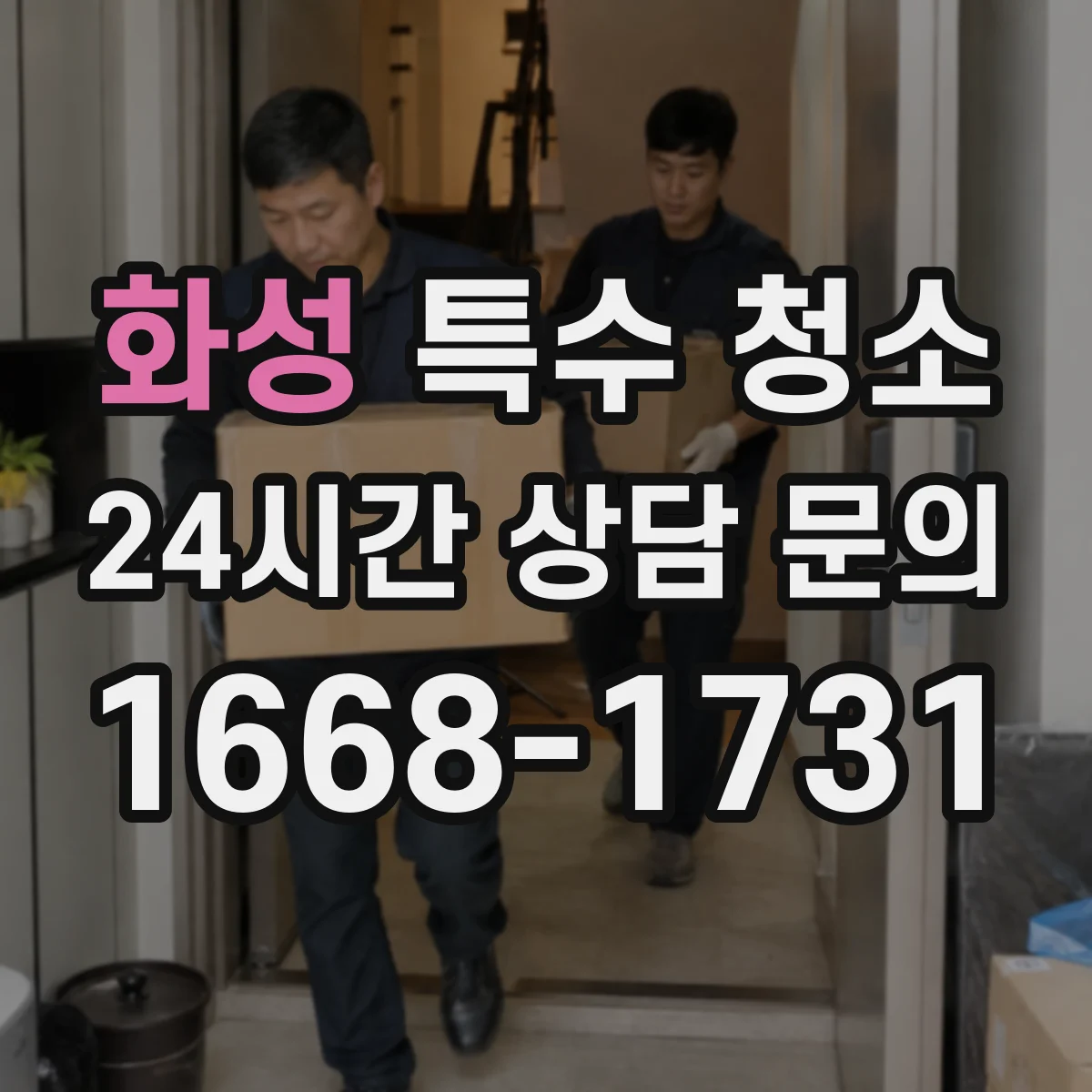 화성 특수 청소 벽지 뜯김을 방지하는 오염 제거 순서