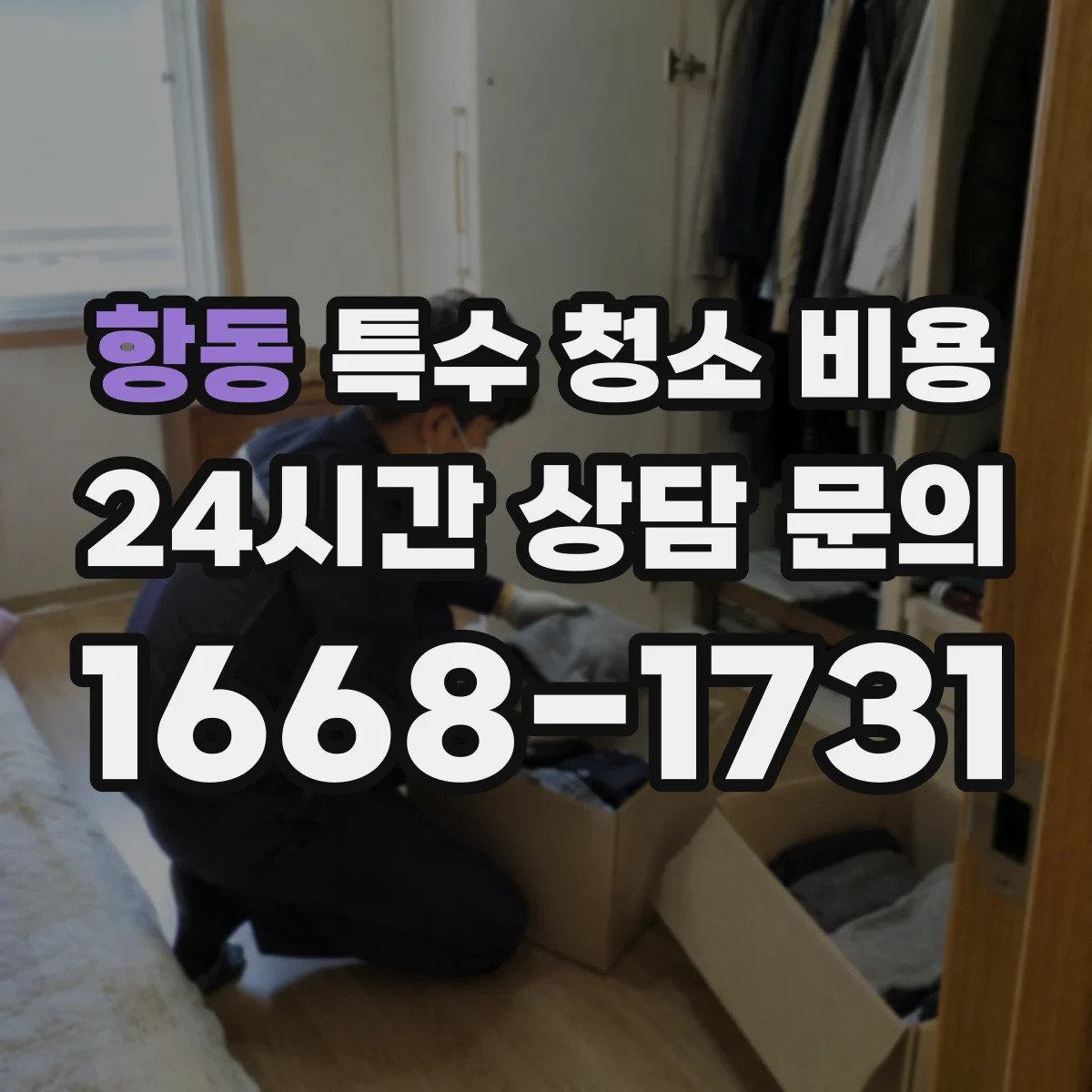 항동 특수 청소 비용