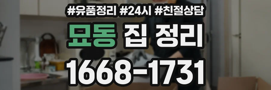 묘동 집 정리