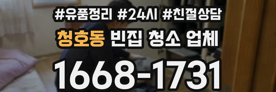 청호동 빈집 청소 업체