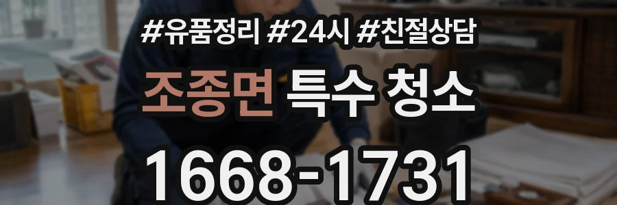 조종면 특수 청소