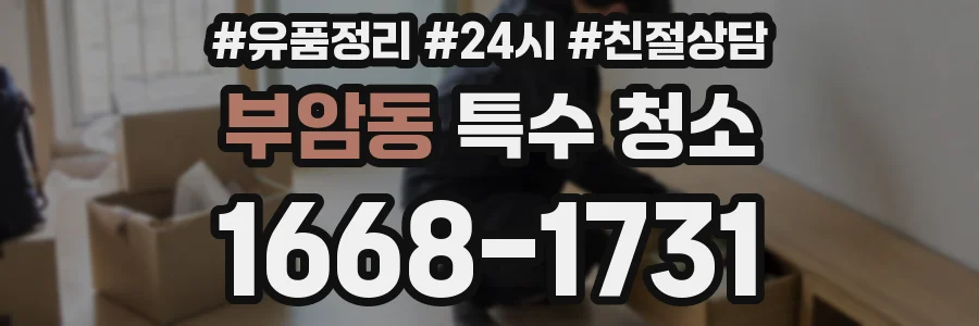 부암동 특수 청소