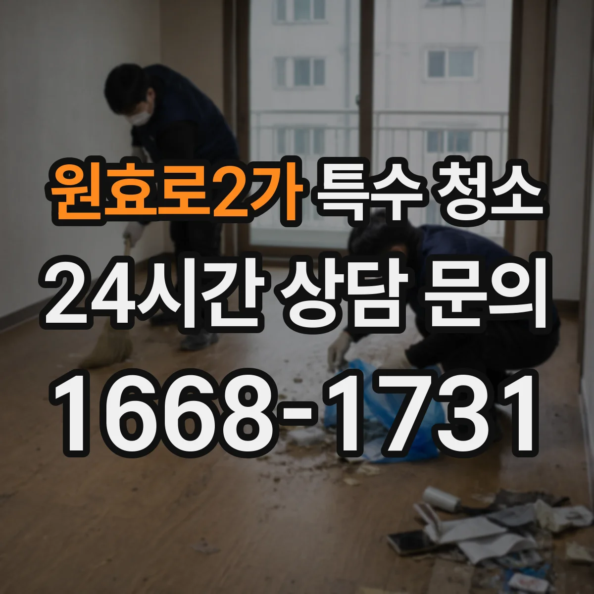 원효로2가 특수 청소
