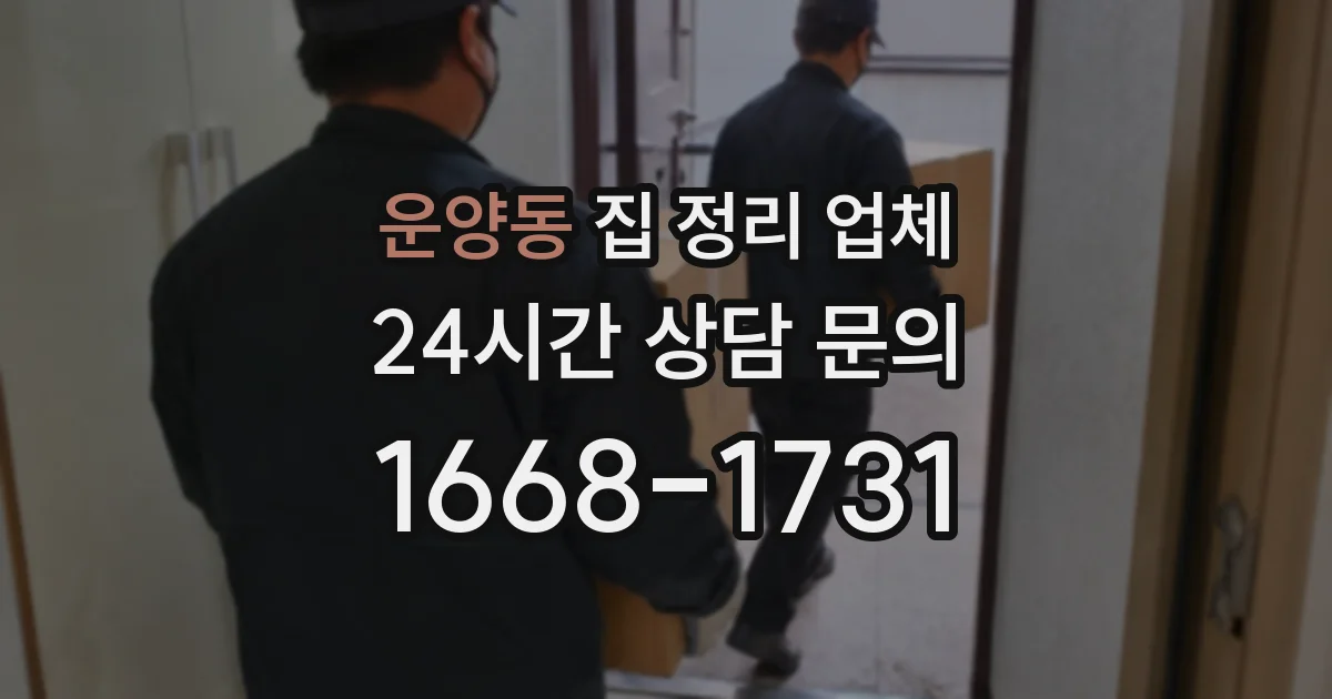 운양동 집 정리 업체