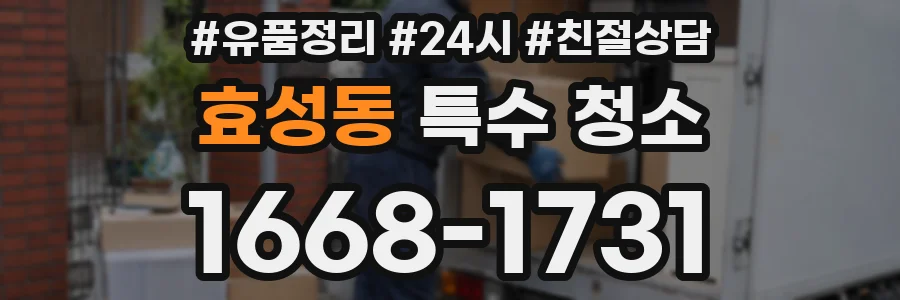 효성동 특수 청소