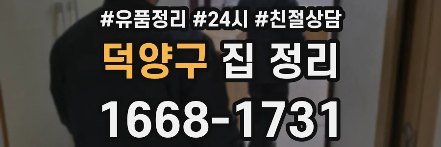 덕양구 집 정리
