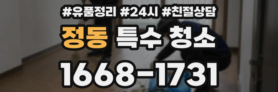 정동 특수 청소