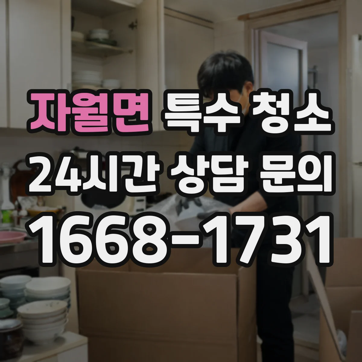 자월면 특수 청소