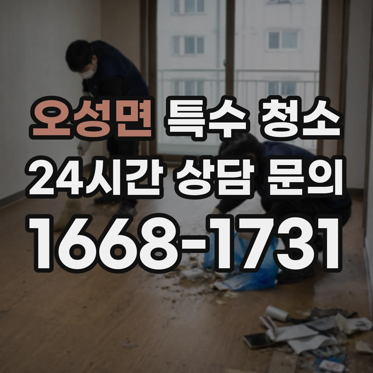오성면 특수 청소