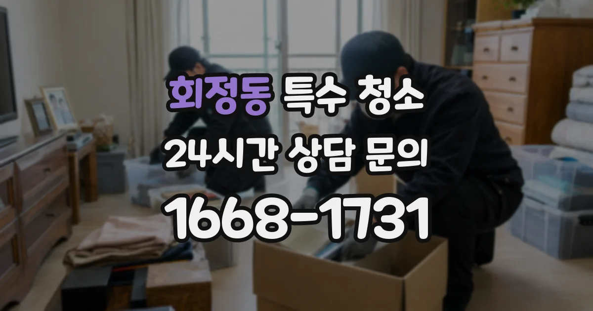 회정동 특수 청소