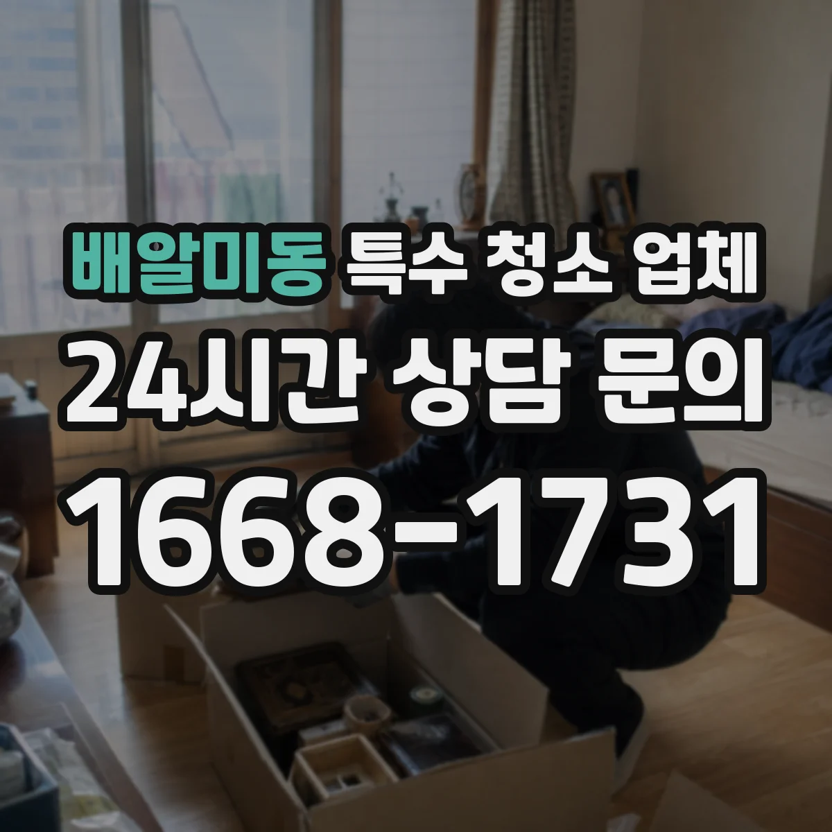 배알미동 특수 청소 업체
