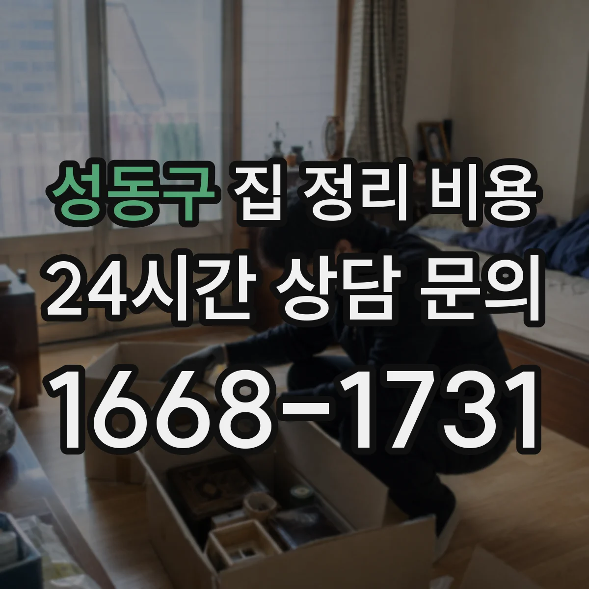성동구 집 정리 비용