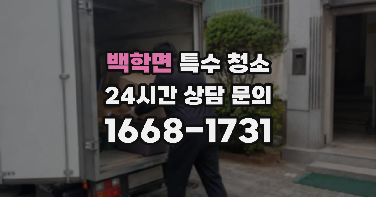 백학면 특수 청소