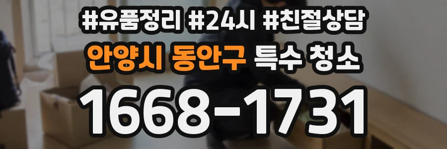 안양시 동안구 특수 청소