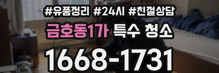 금호동1가 특수 청소