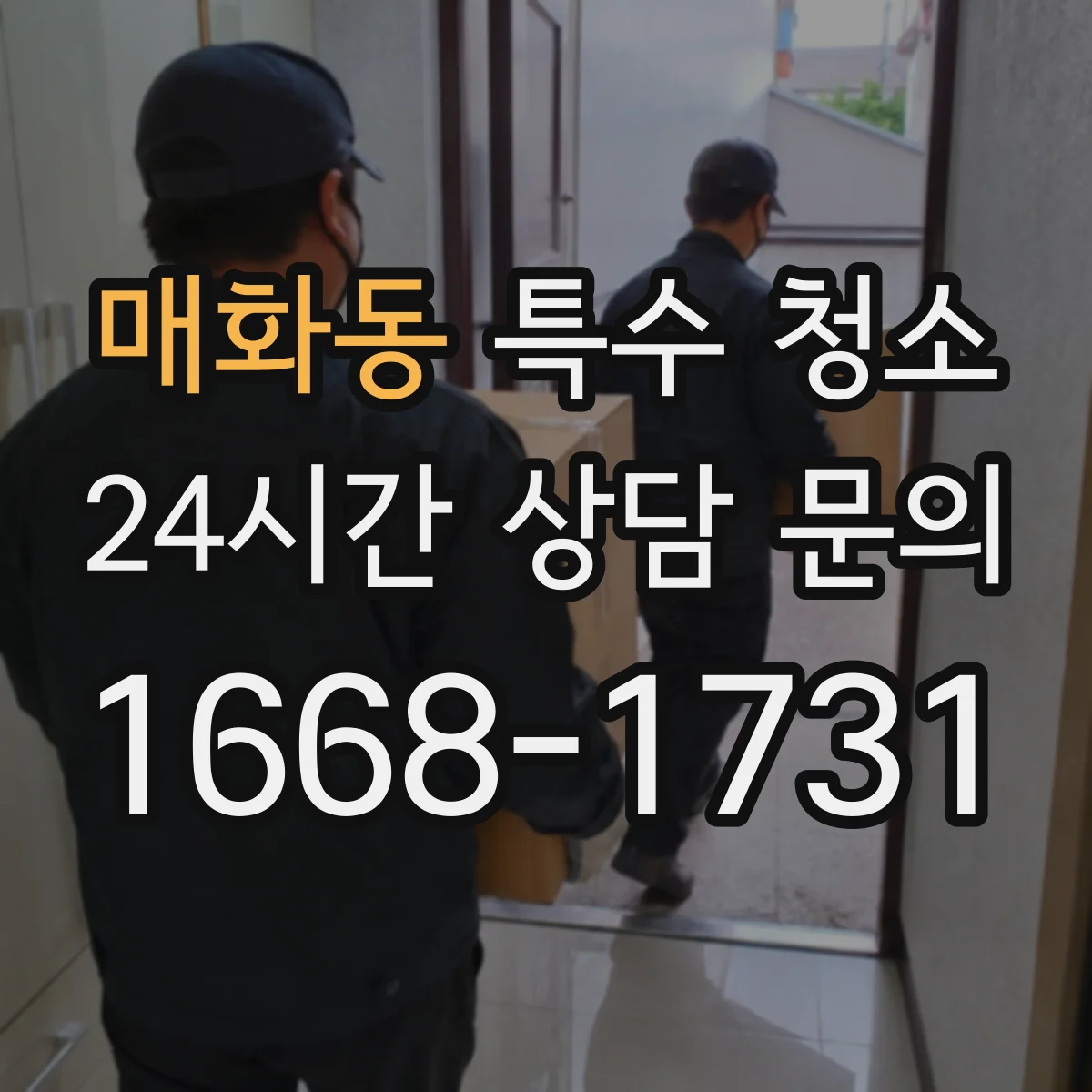 매화동 특수 청소