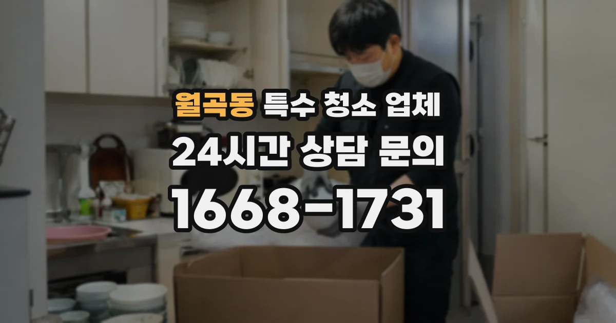 월곡동 특수 청소 업체