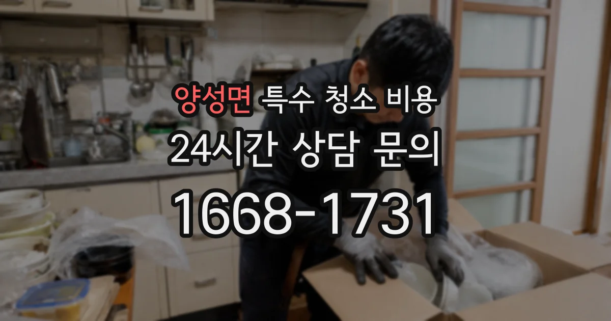 양성면 특수 청소 비용