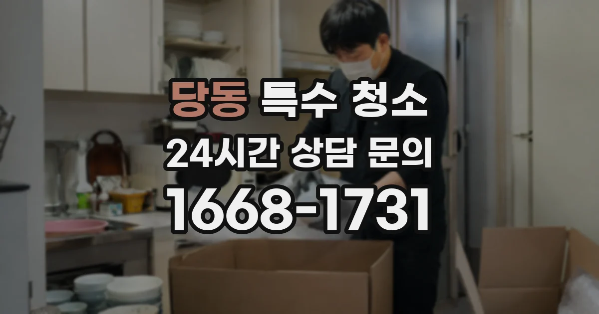 당동 특수 청소