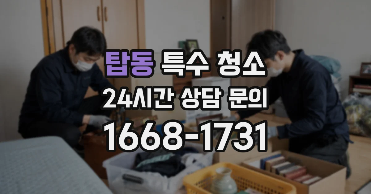 탑동 특수 청소
