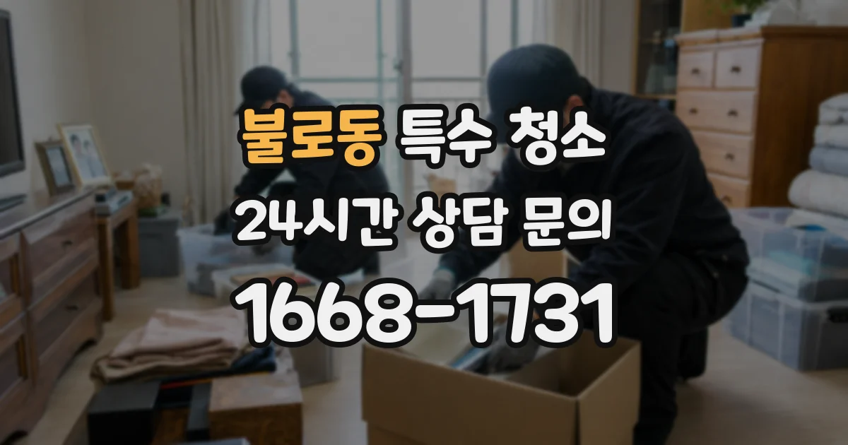 불로동 특수 청소