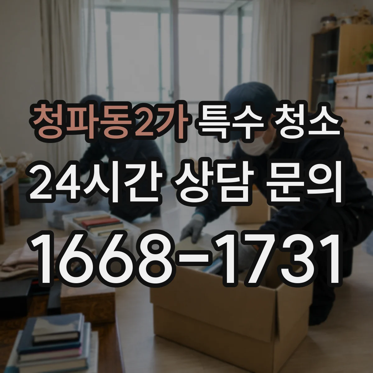 청파동2가 특수 청소