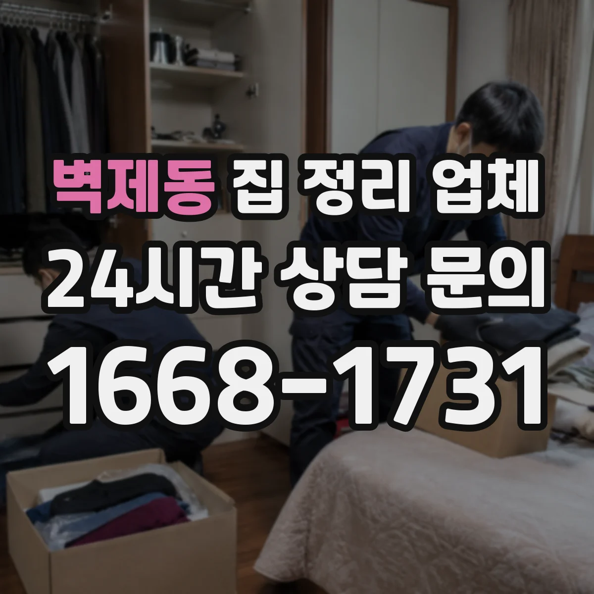 벽제동 집 정리 업체