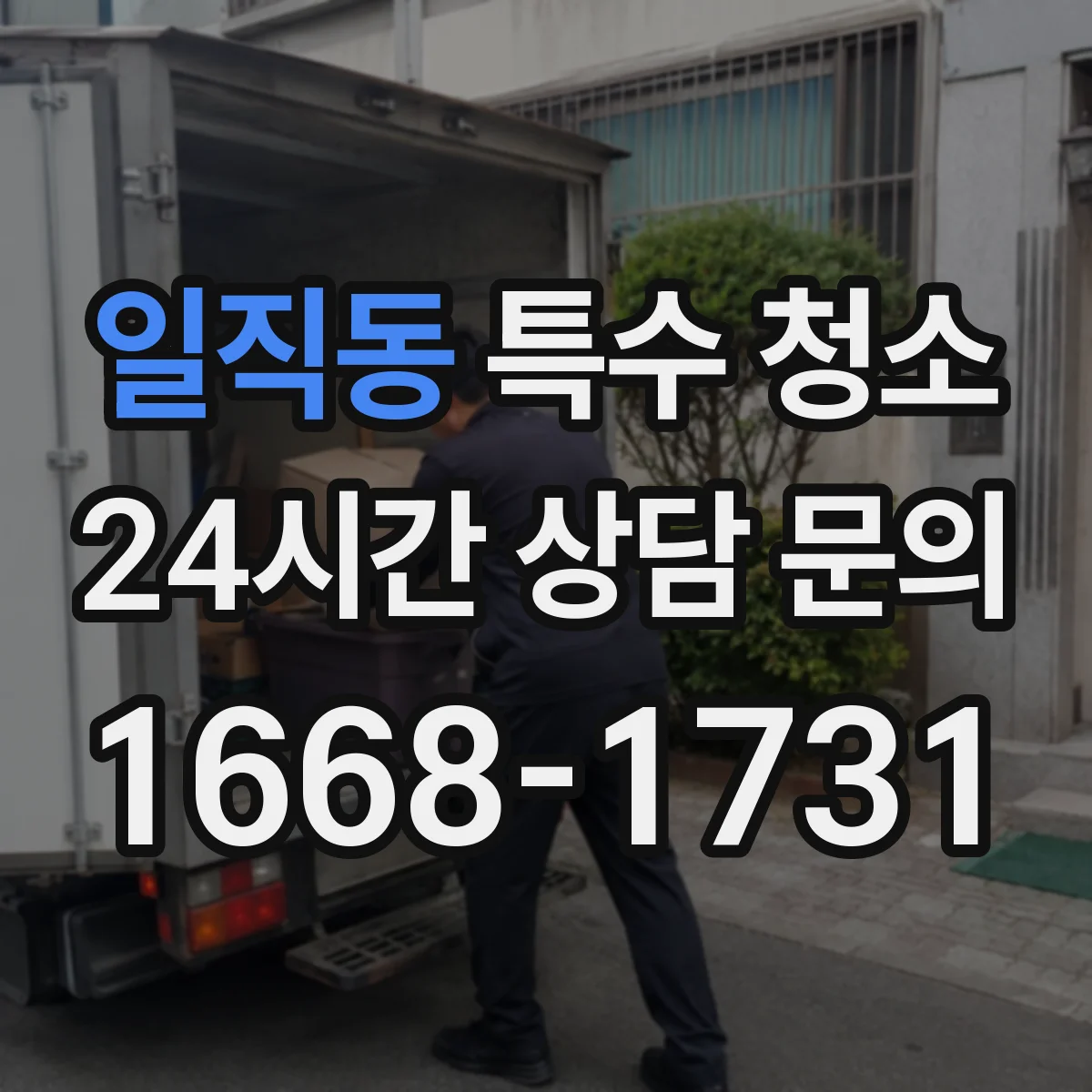 일직동 특수 청소