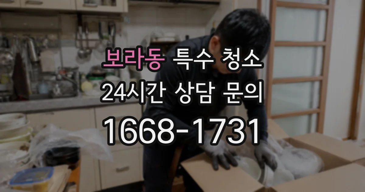 보라동 특수 청소
