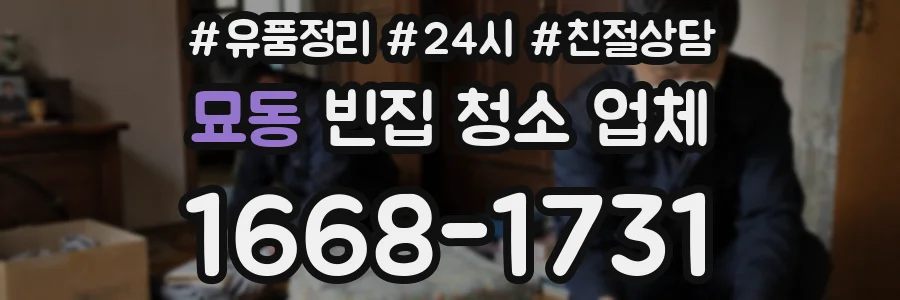 묘동 빈집 청소 업체