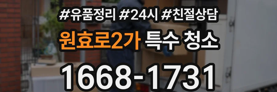 원효로2가 특수 청소