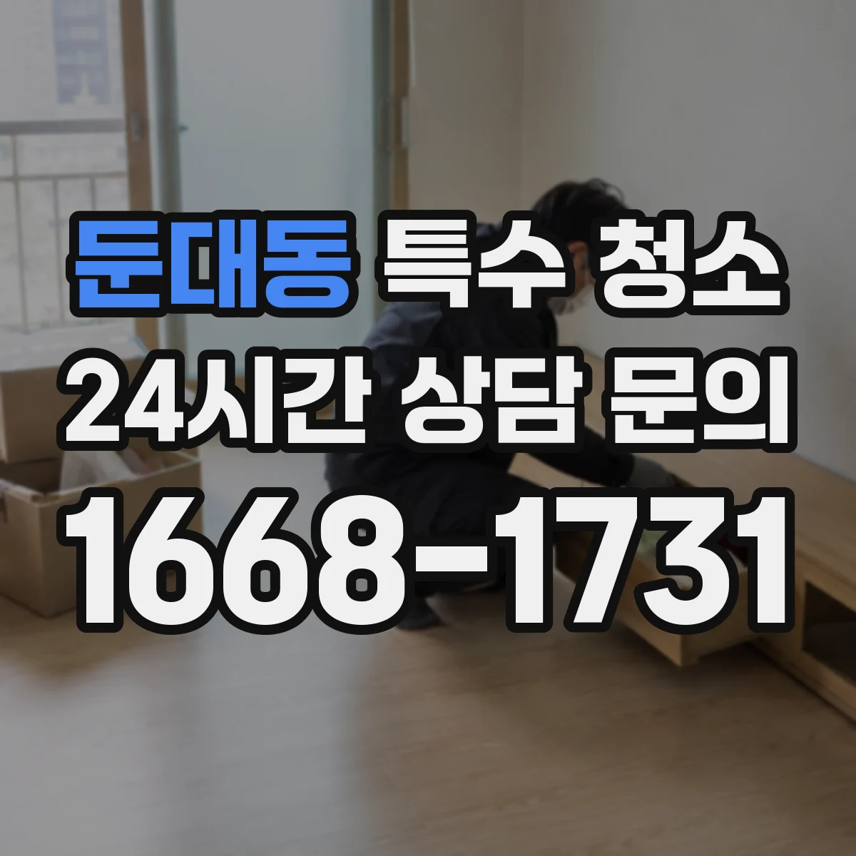 둔대동 특수 청소
