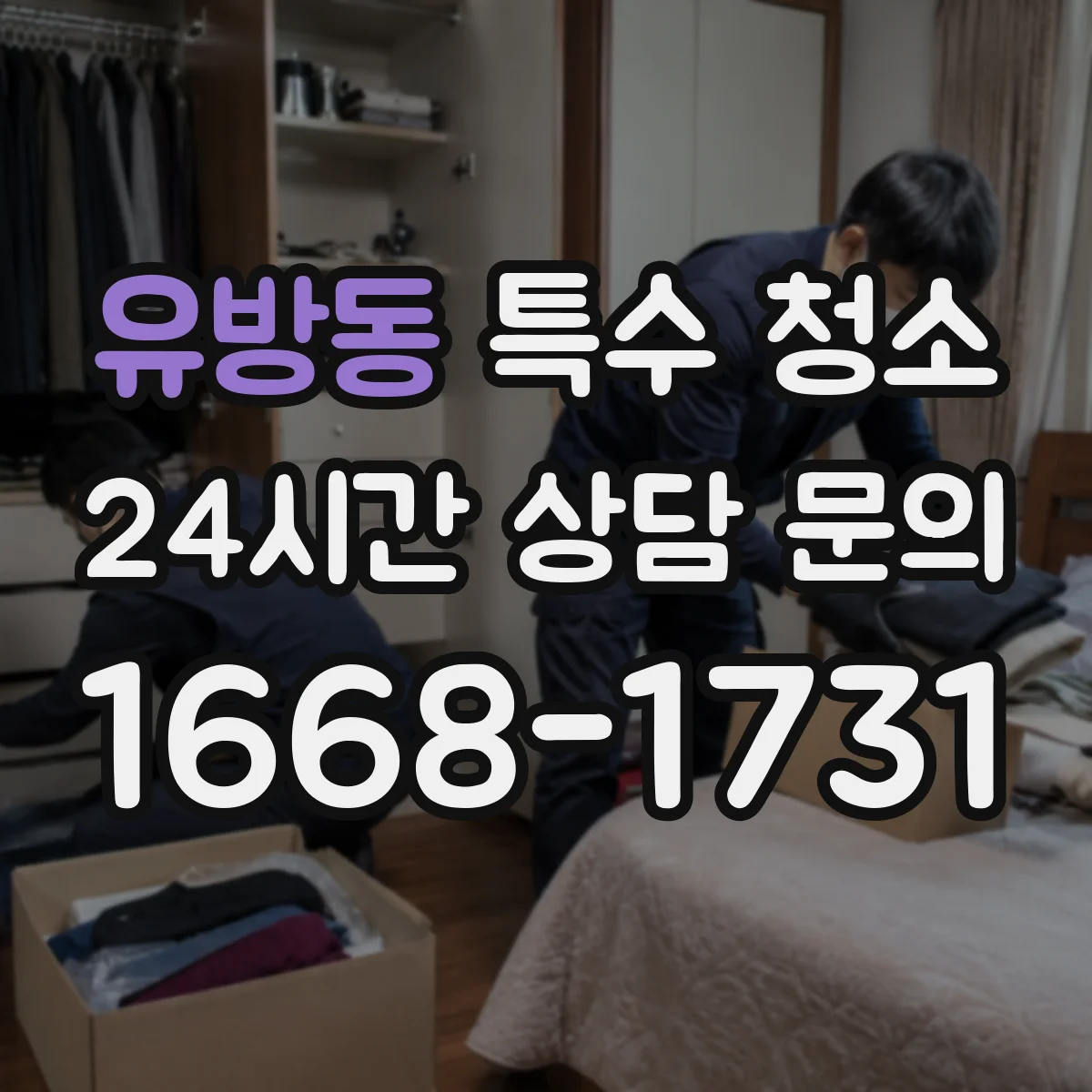 유방동 특수 청소