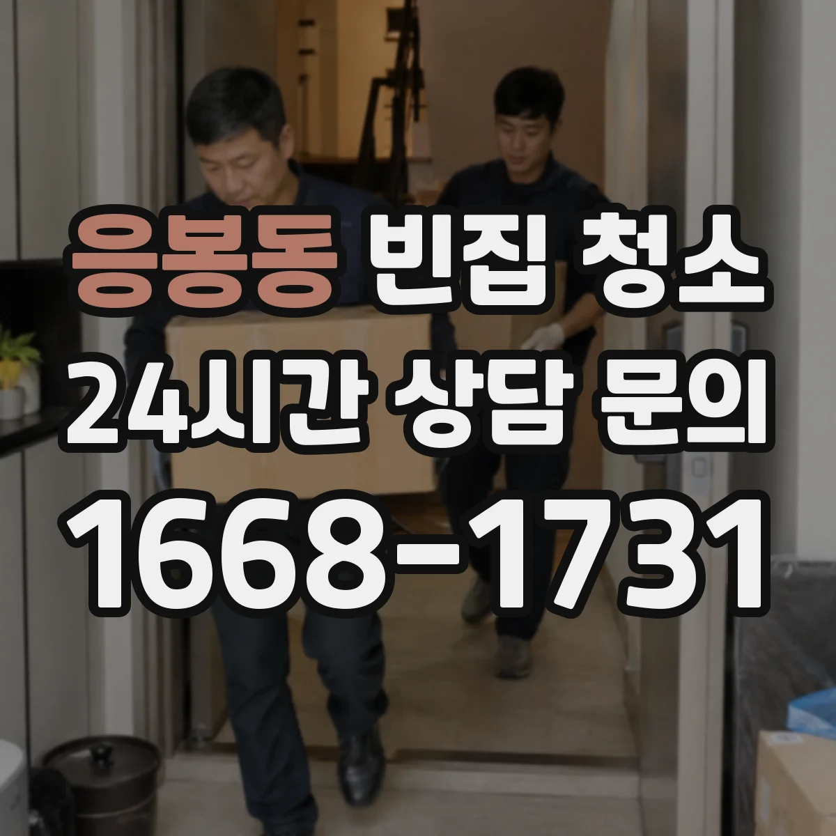 응봉동 빈집 청소