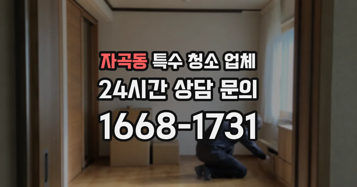 자곡동 특수 청소 업체