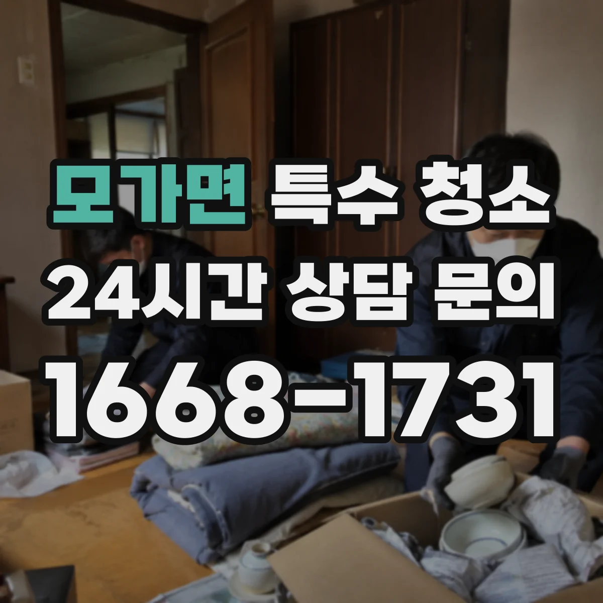 모가면 특수 청소