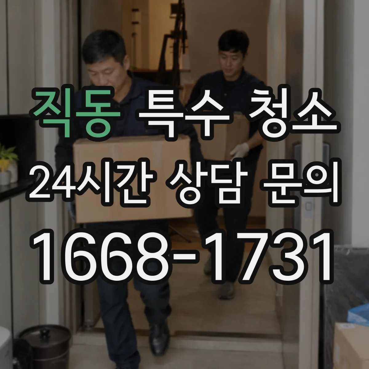 직동 특수 청소