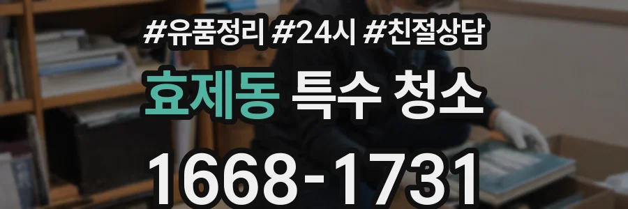효제동 특수 청소