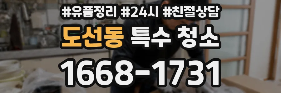 도선동 특수 청소