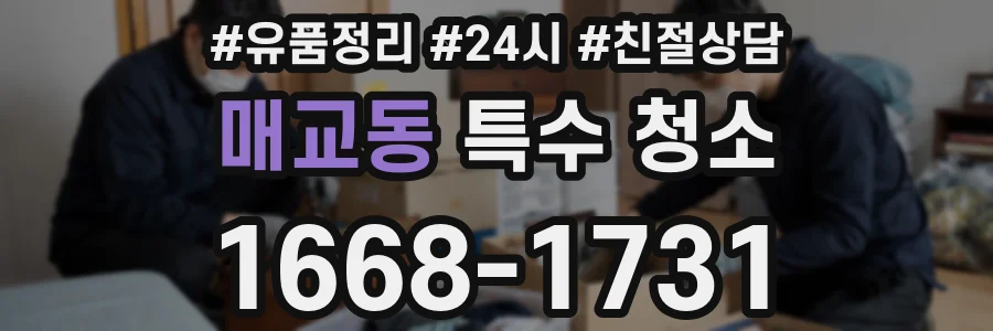 매교동 특수 청소