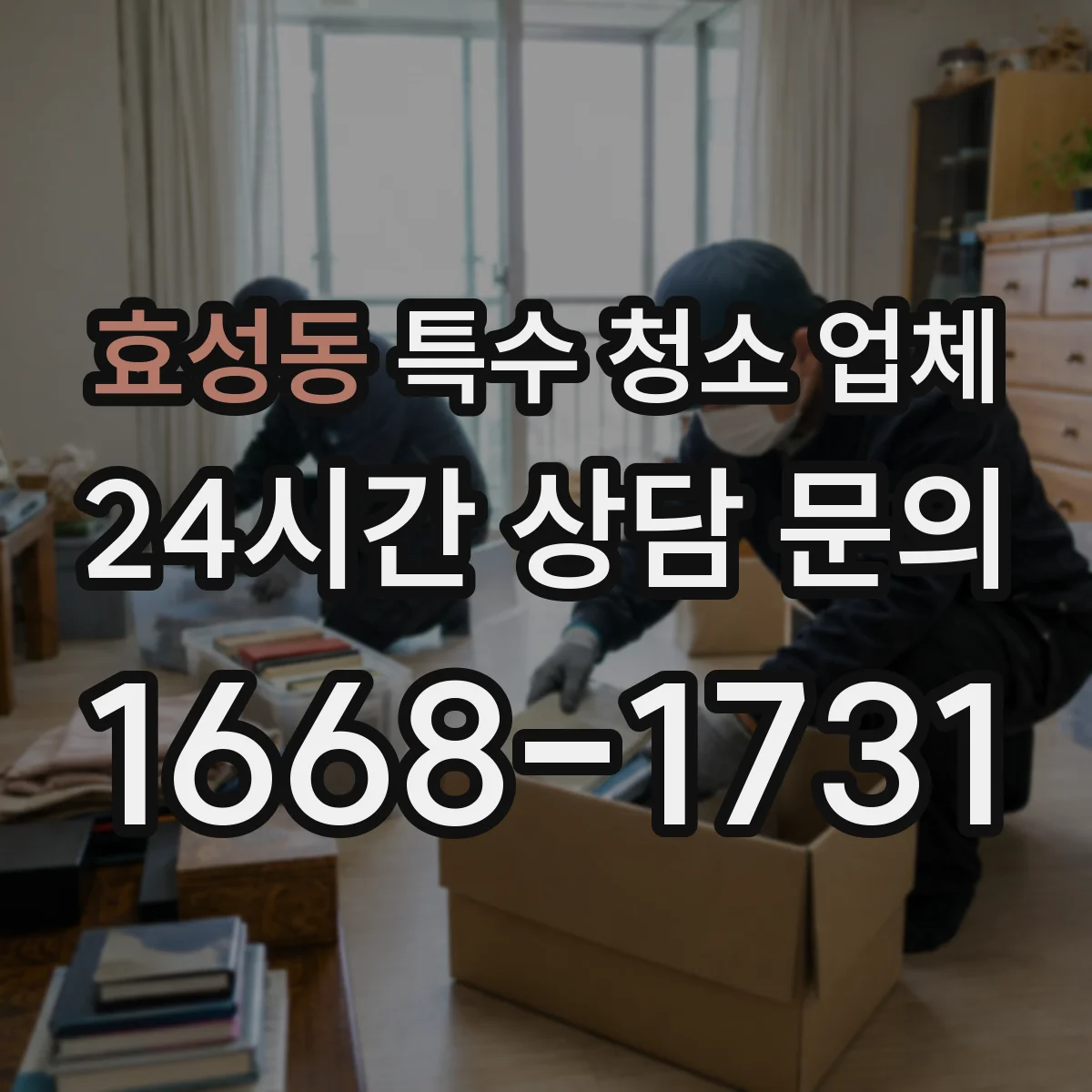 효성동 특수 청소 업체