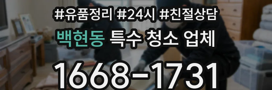 백현동 특수 청소 업체