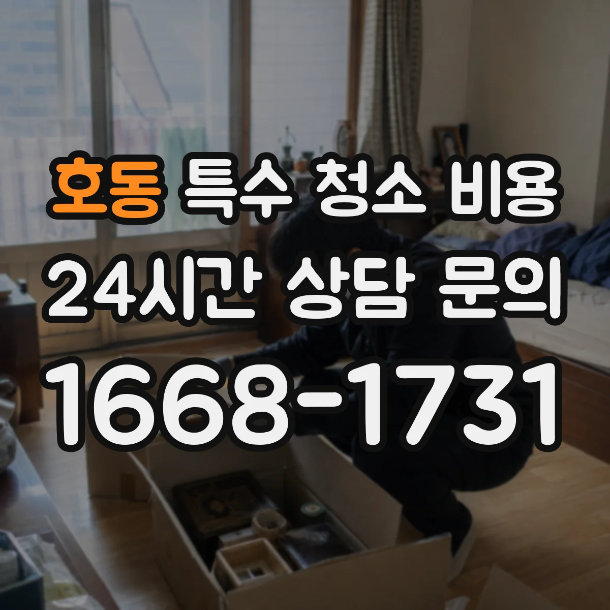 호동 특수 청소 비용