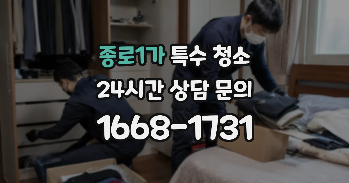 종로1가 특수 청소