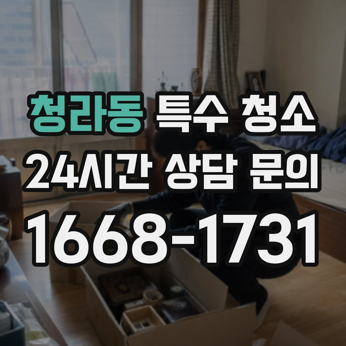 청라동 특수 청소